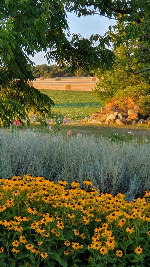 Au Calme Chez L'Habitant Foulayronnes Екстер'єр фото